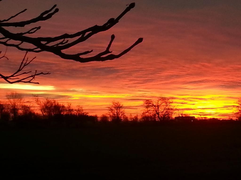 Roskilde B&B Gadstrup Luaran gambar