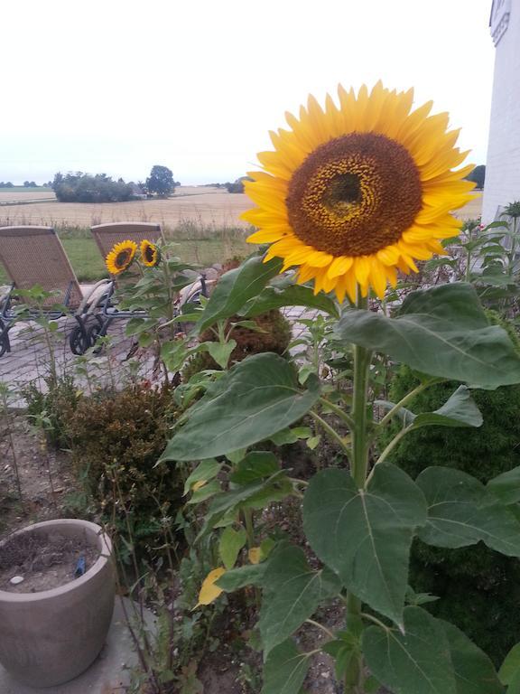 Roskilde B&B Gadstrup Luaran gambar