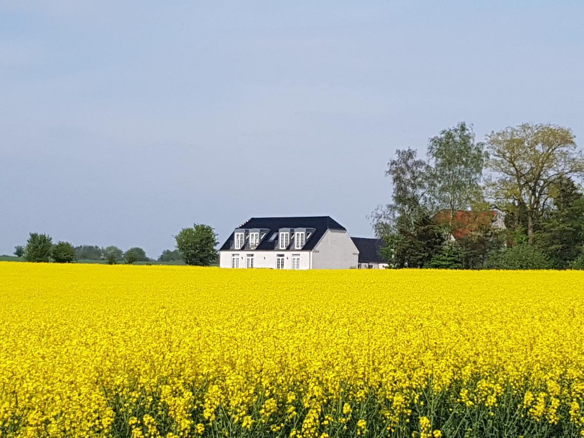 Roskilde B&B Gadstrup Luaran gambar