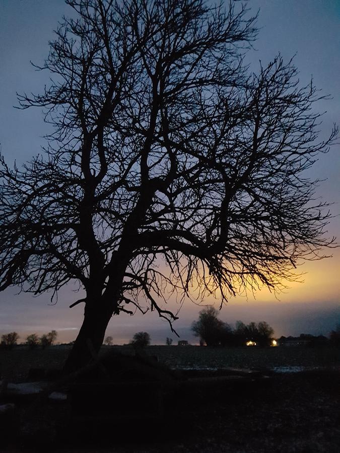 Roskilde B&B Gadstrup Luaran gambar